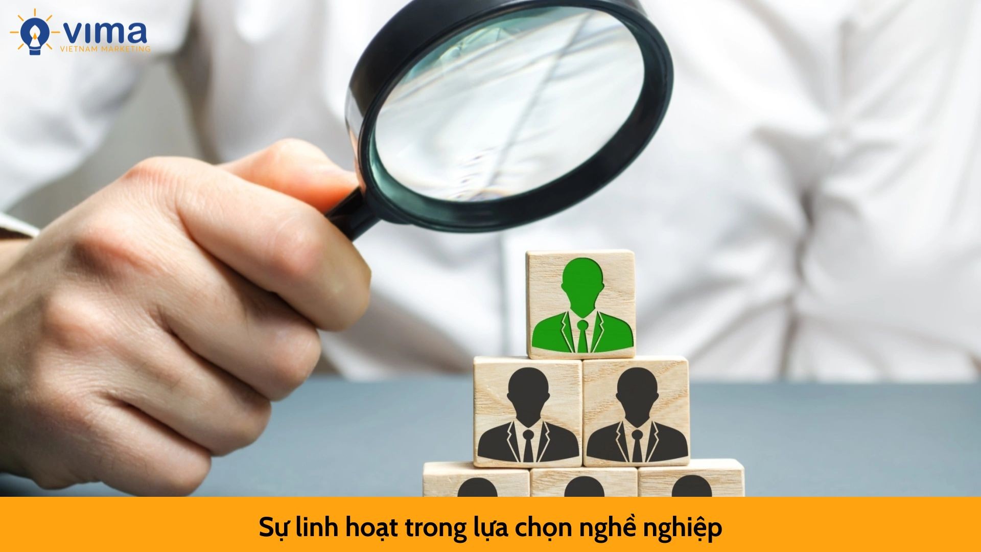 Sự linh hoạt trong lựa chọn nghề nghiệp